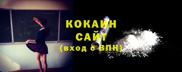 винт Ельня